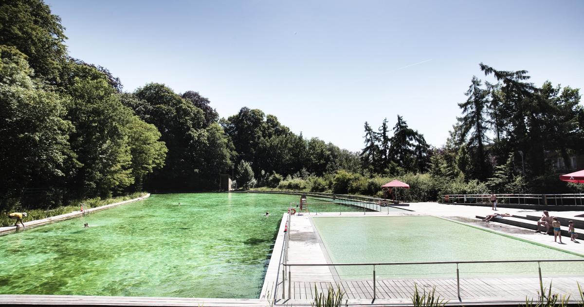 Etang De Baignade Boekenberg Zwemmen In T Groen Klas Op Stap